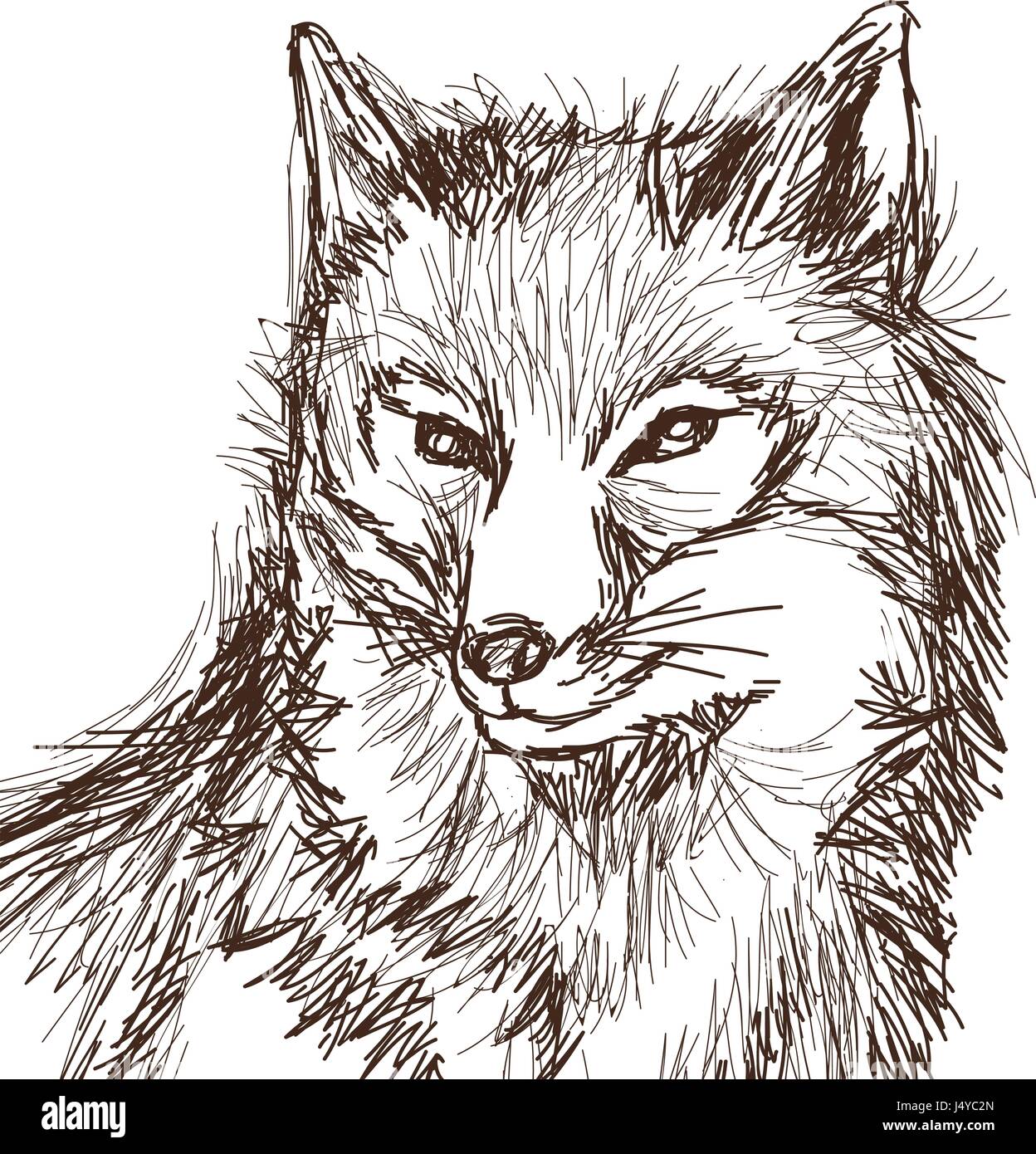 wolf wildlife animal image is hand drawn. portrait pencil sketch of wolf Stock Vector Image & Art - Alamy wolf wildlife animal image is hand drawn. portrait pencil sketch of wolf Stock Vector Image & Art - Alamy