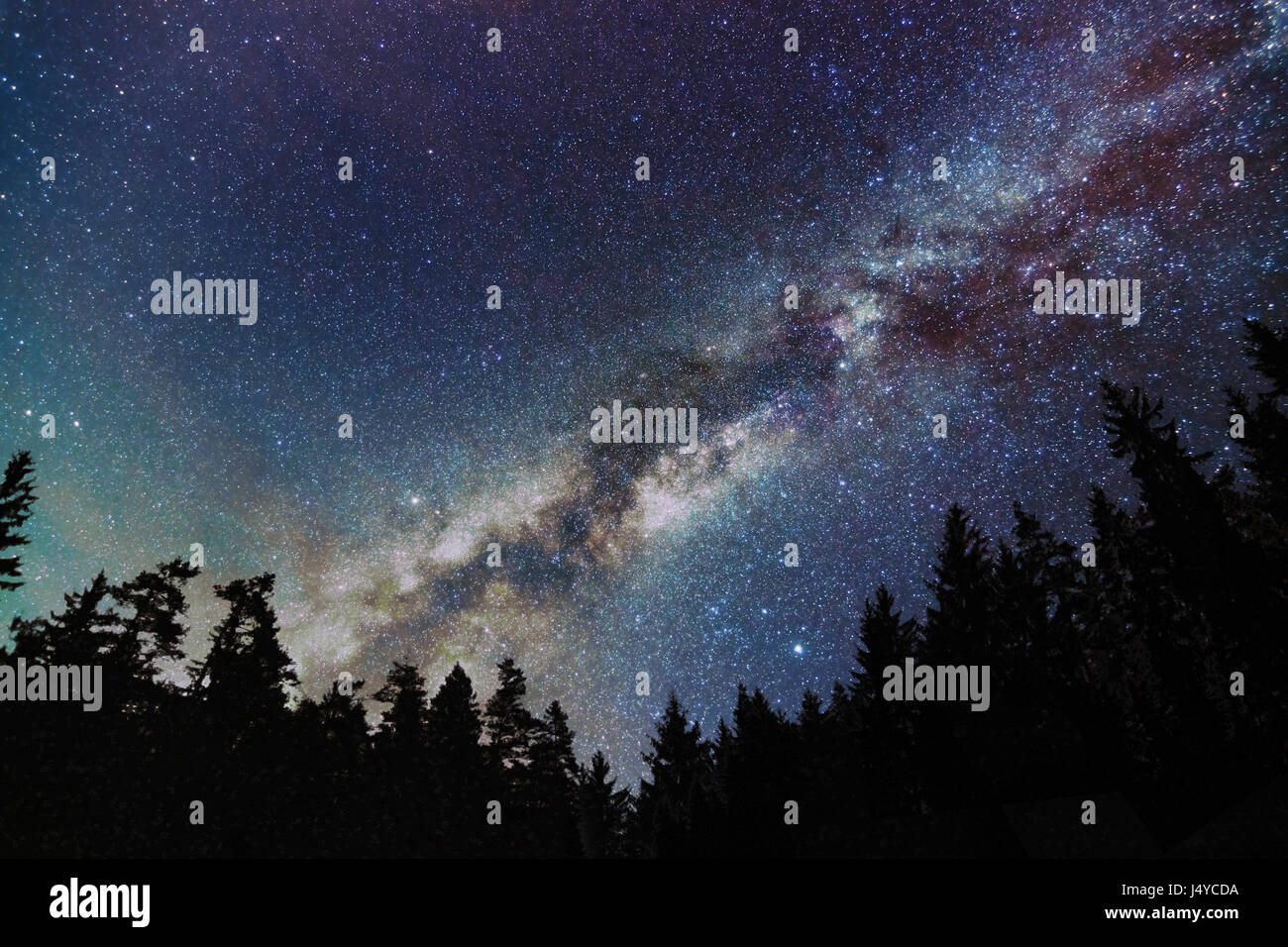 Milky Way Galaxy, Starry sky with trees. Starry night. Stock Photo