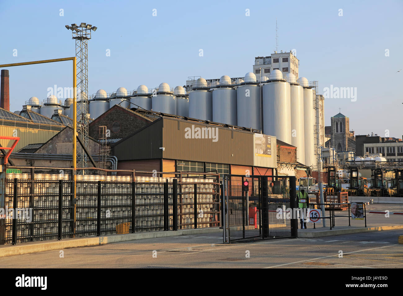 guinness brewery st patricks day maryland