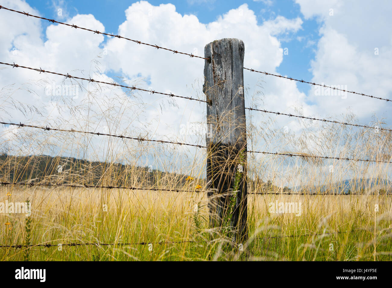 Rustic fence post and barbed wire fence in agriculture image from low angle Stock Photo