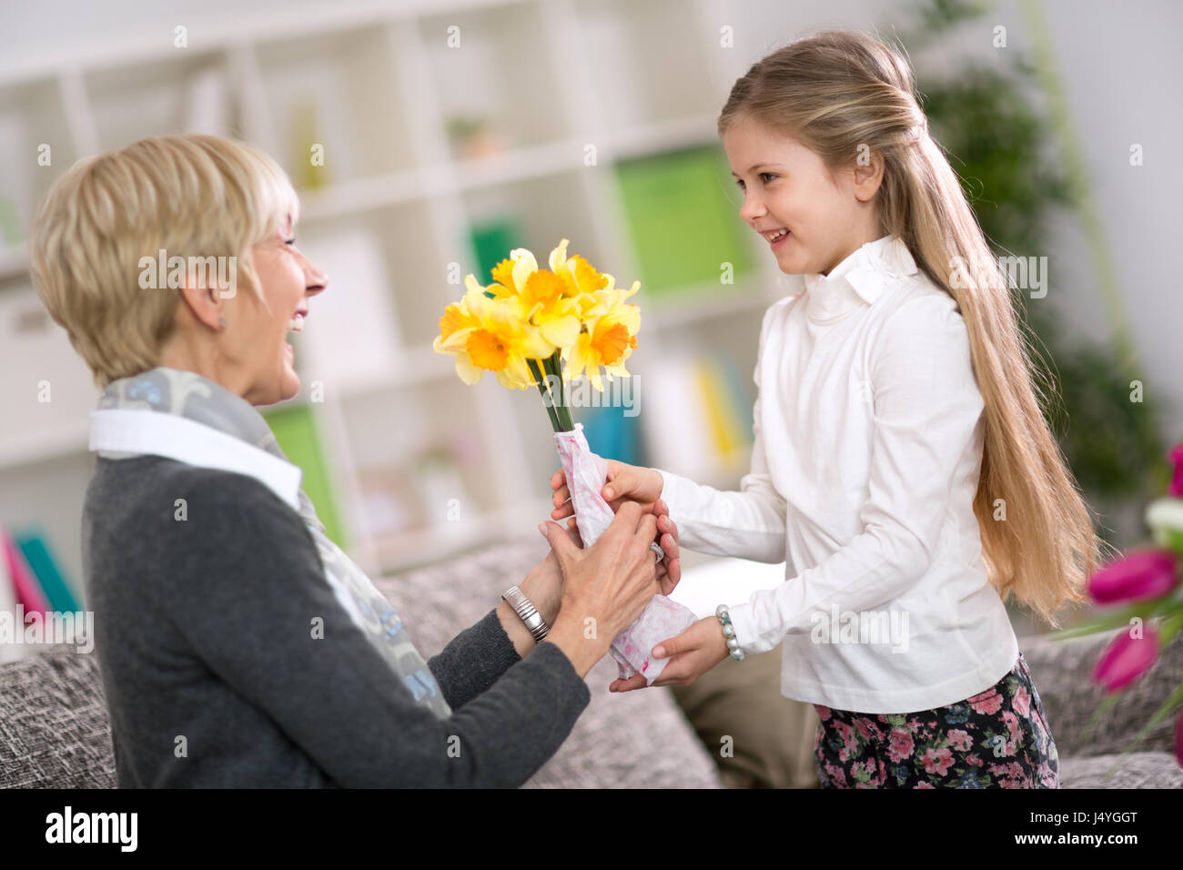 Happy cute girl giving flower her grandma on grandmother day Stock