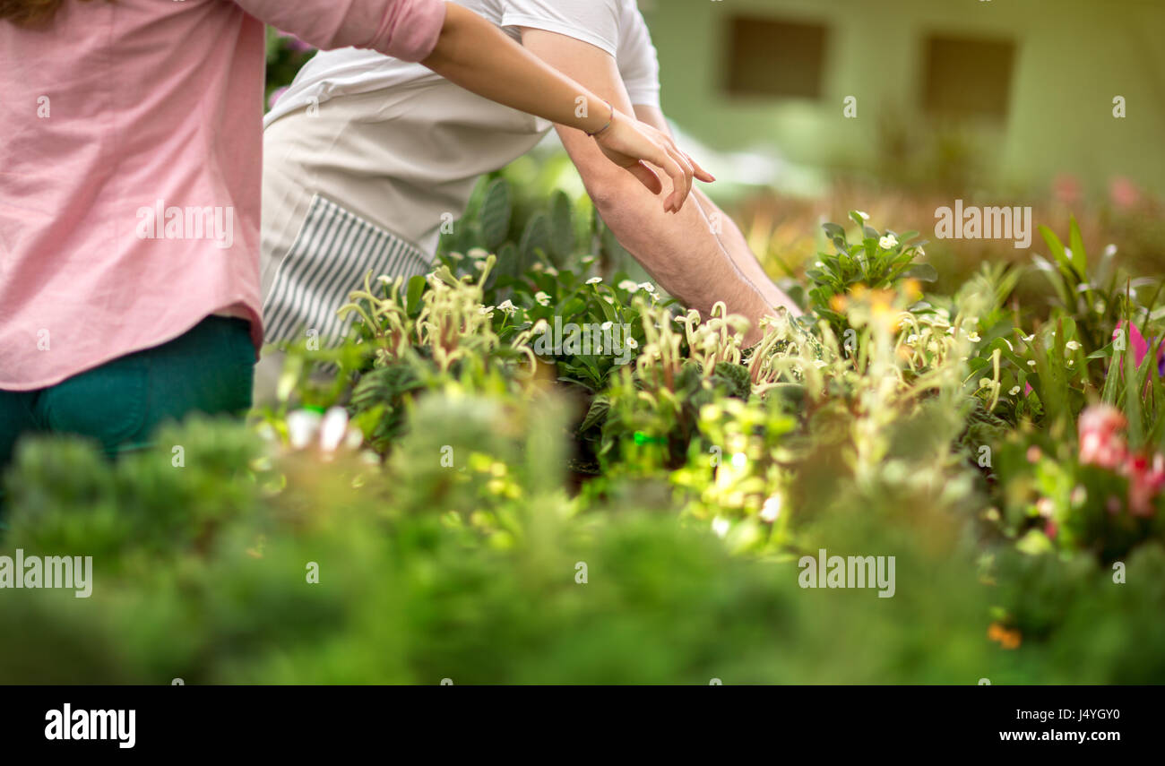 Girl pointing to the flowers that interest her and wish to know the name of the flower Stock Photo