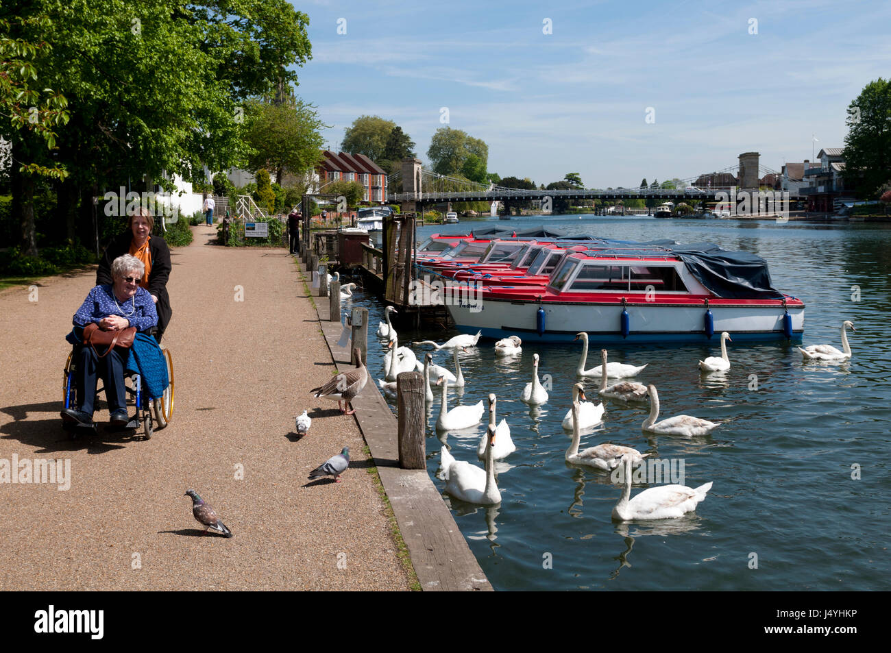 Elderly person in wheelchair hi-res stock photography and images - Alamy
