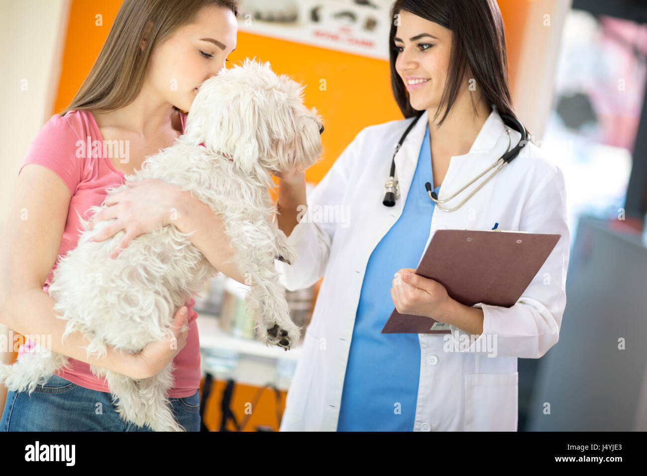 Beautiful young veterinarian comforting Maltese dog in vet clinic Stock Photo