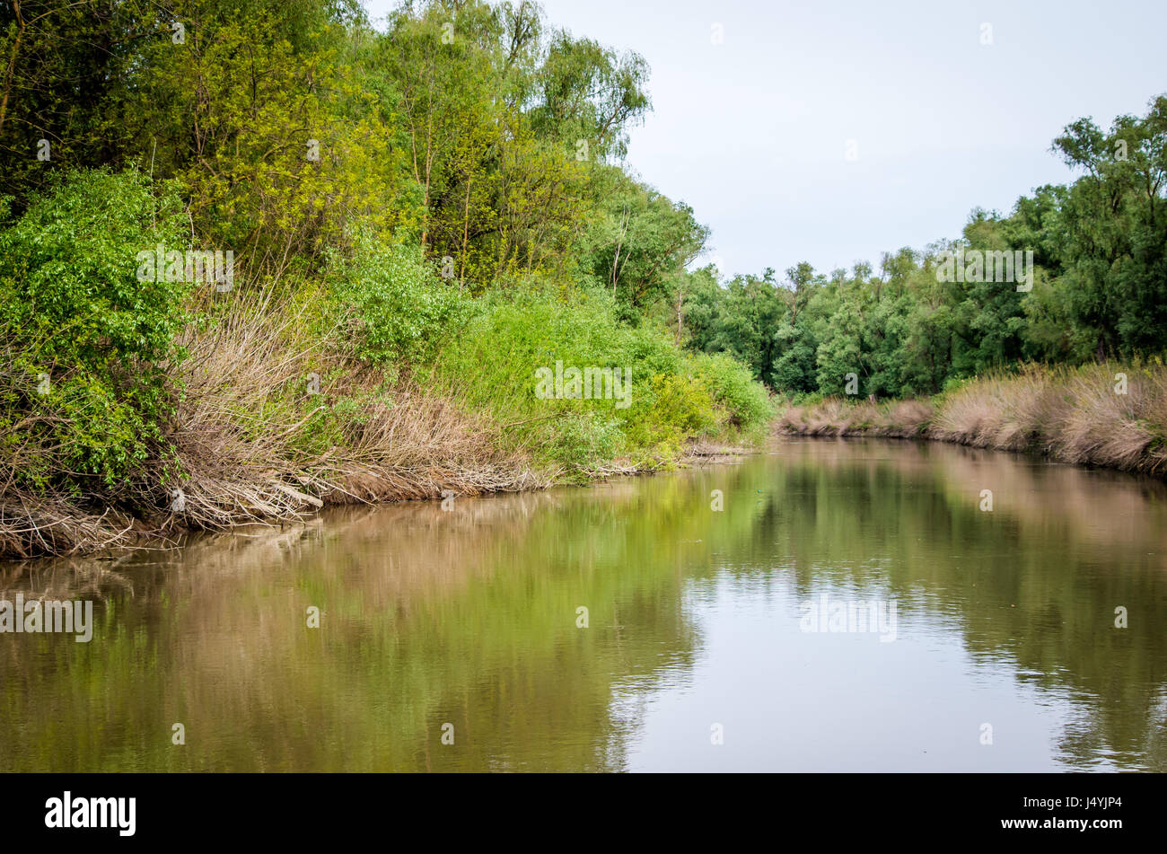Specific Vegetation High Resolution Stock Photography and Images - Alamy