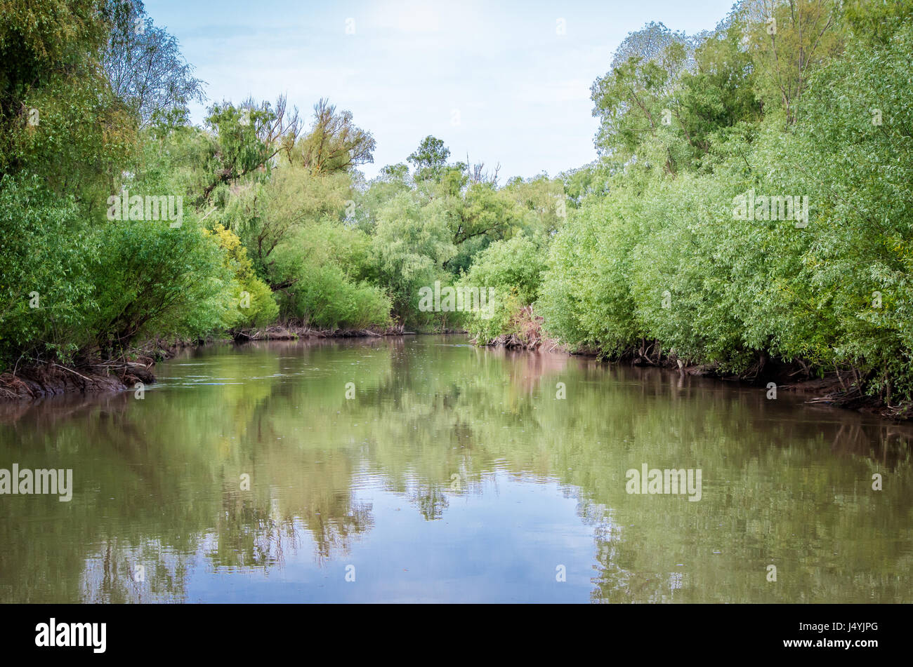 Specific Vegetation High Resolution Stock Photography and Images - Alamy