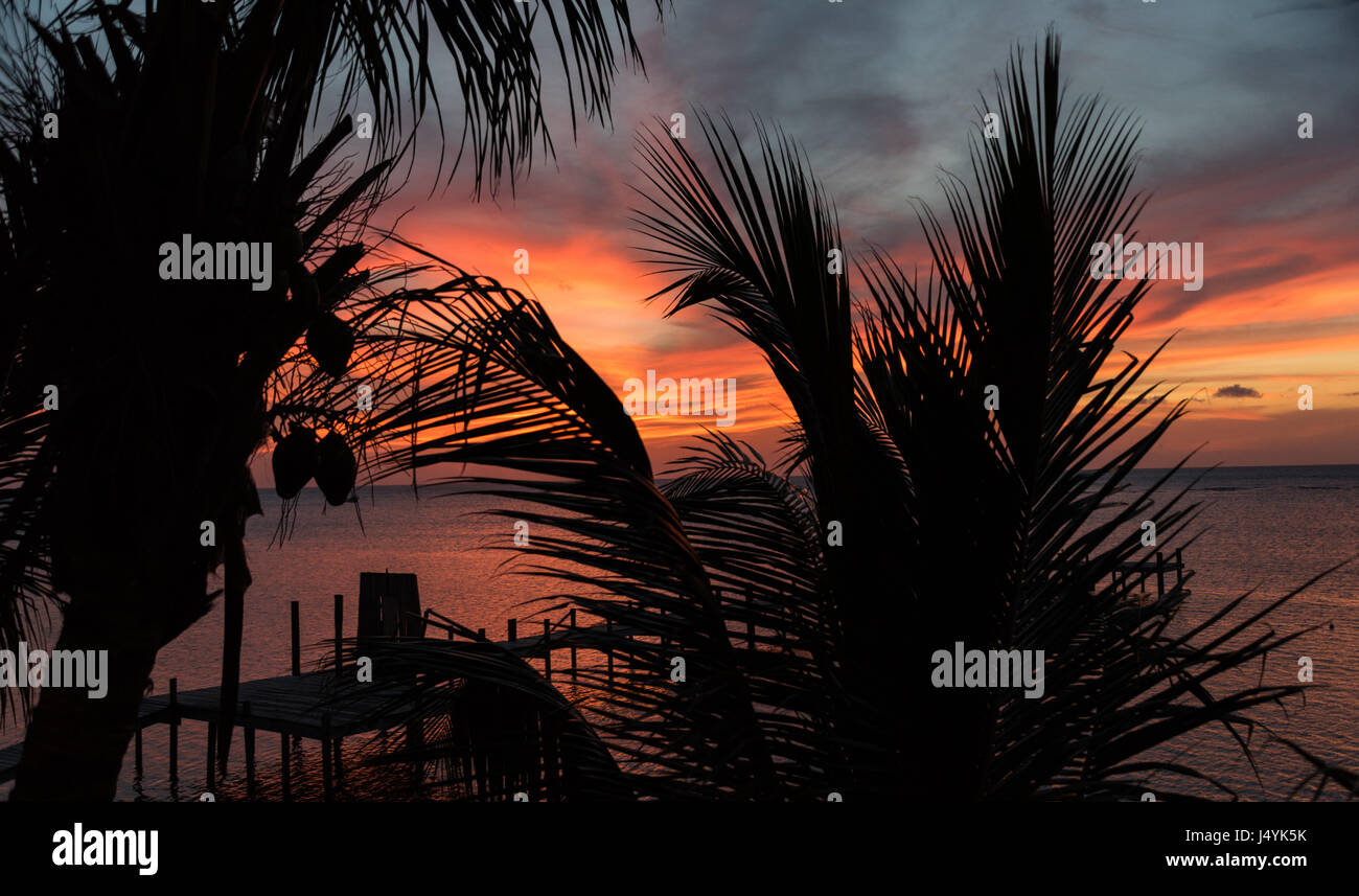Caribbean/Tropical Evening Stock Photo