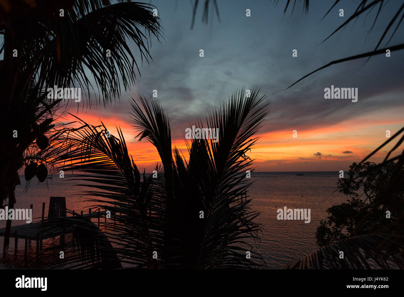 Caribbean/Tropical Evening Stock Photo