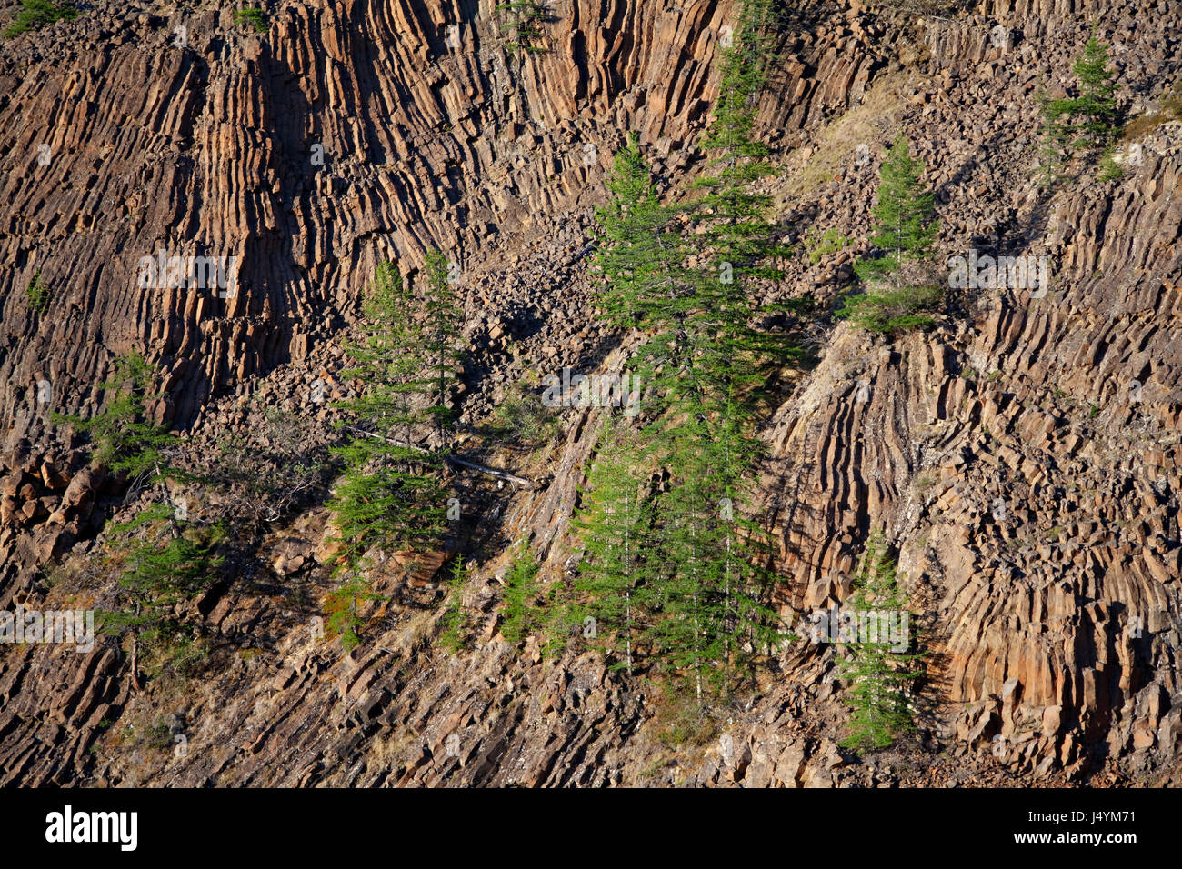 Basaltic jointing (column structure). Ayan lake area. Putorana plateau. Putorana reserve. North of Russia. Siberia. Stock Photo