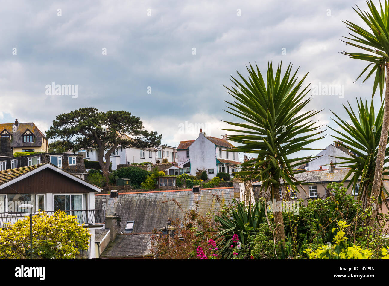 Roofs of buildings and exotic plants, seaside spot seen from the bird's ...