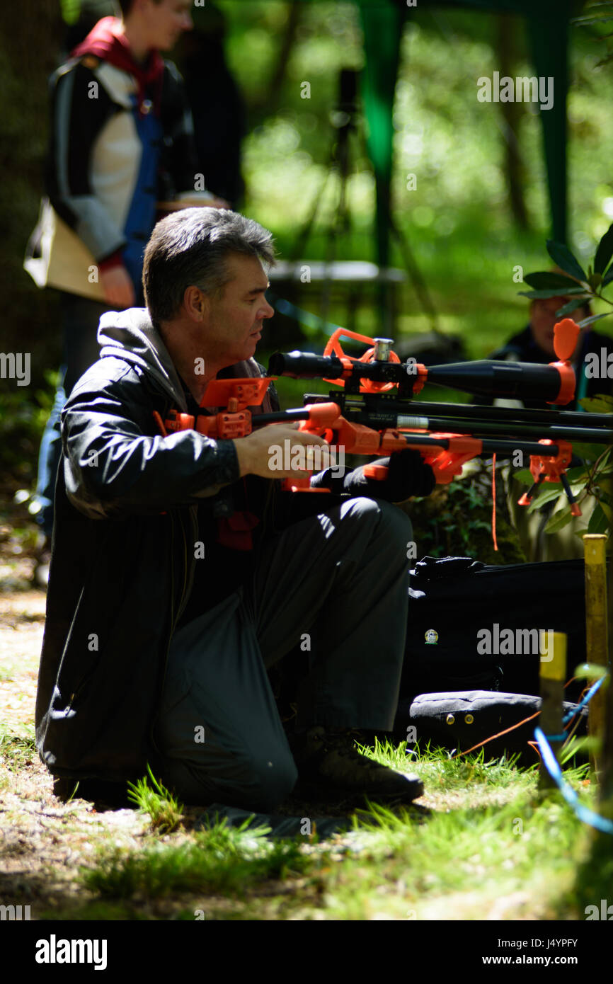 Air rifle competitive target shooting Stock Photo Alamy