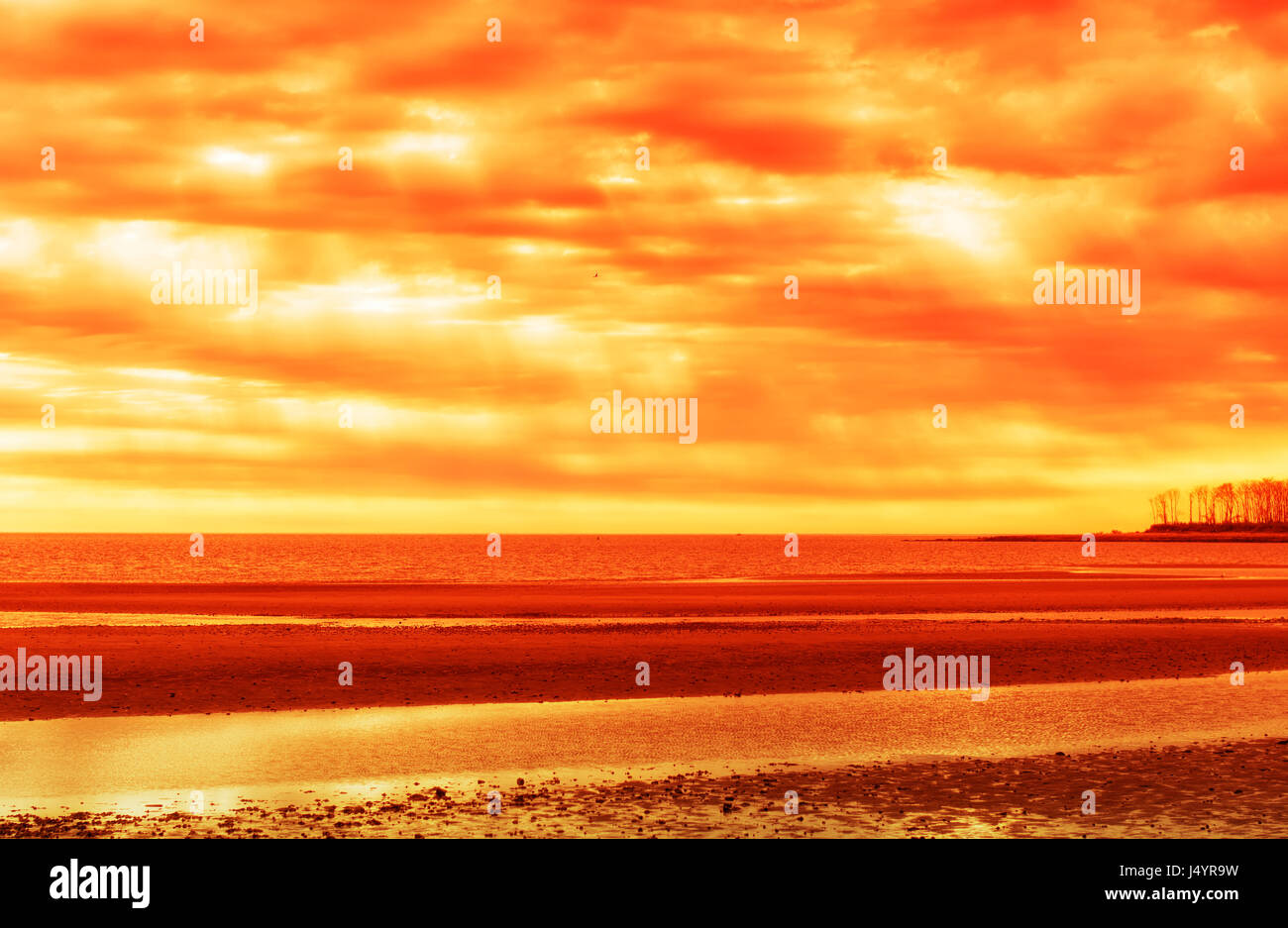 Low tide at Silver sands state park in Milford Connecticut at sunset