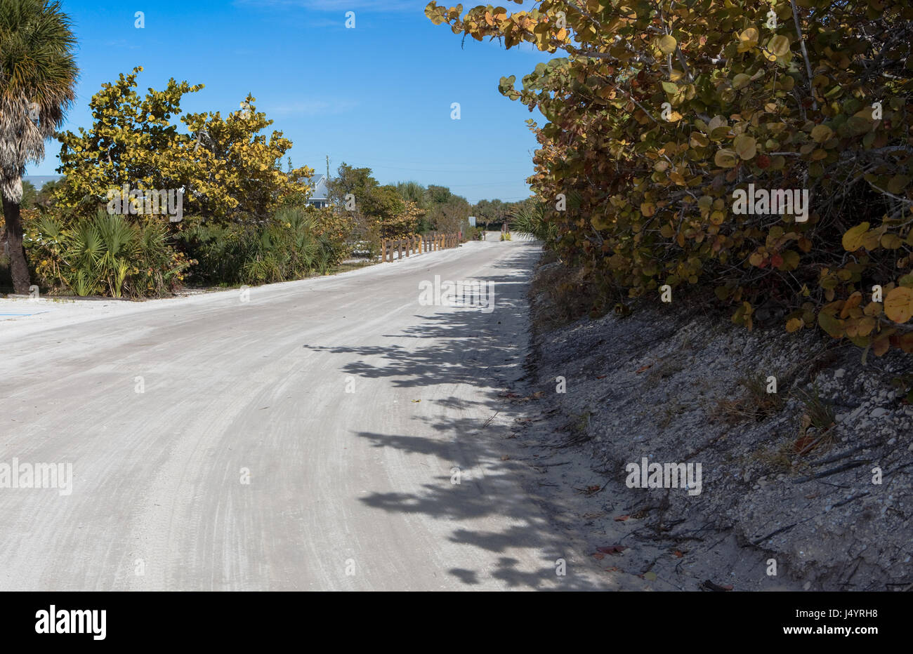 Rural florida road hi-res stock photography and images - Alamy