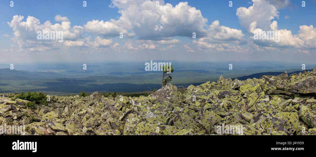Only tree on a rock hill hi-res stock photography and images - Alamy
