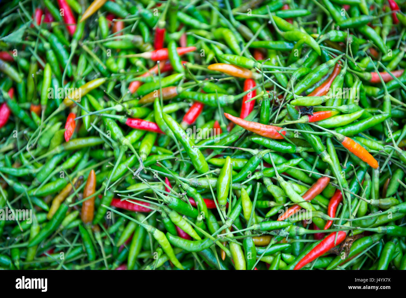 Full frame background of green and red hot chili peppers at the famous ...