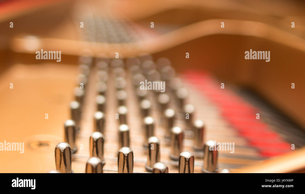 Concert piano tuning pins blurred background. Stock Photo