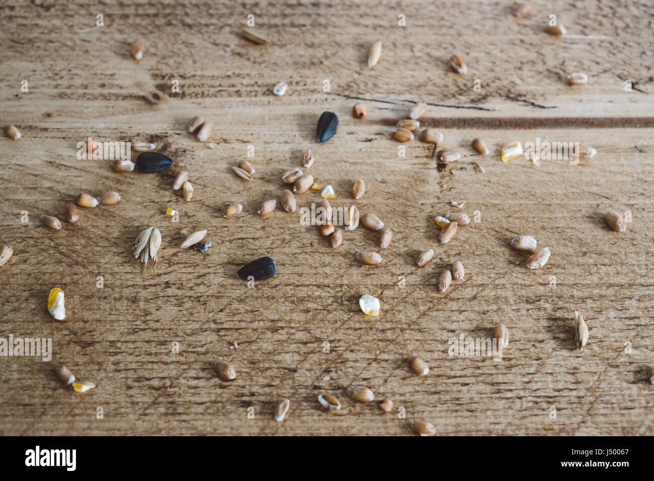 Bird seeds scattered on wood table Stock Photo