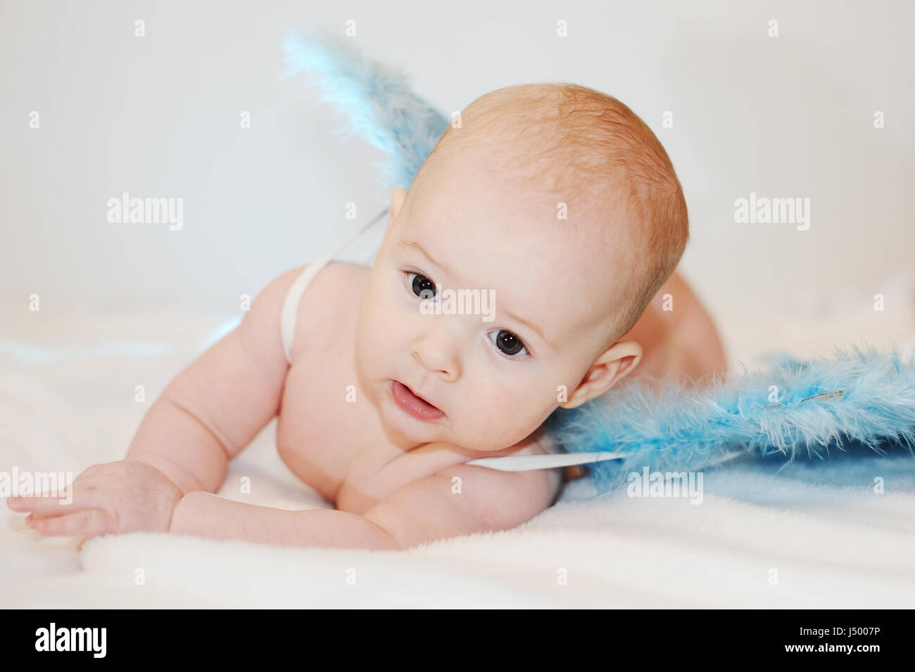 baby boy with blue wings on a white background. baby in the form Stock