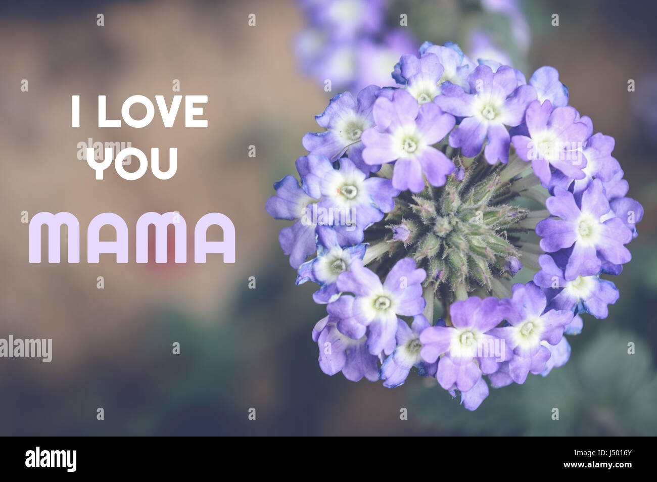 HD wallpaper Black Background With Mamma Text Overlay alphabets closeup   Wallpaper Flare