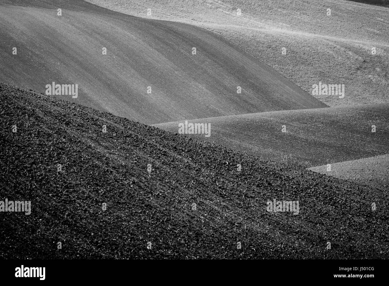 Tuscany background Black and White Stock Photos & Images - Alamy