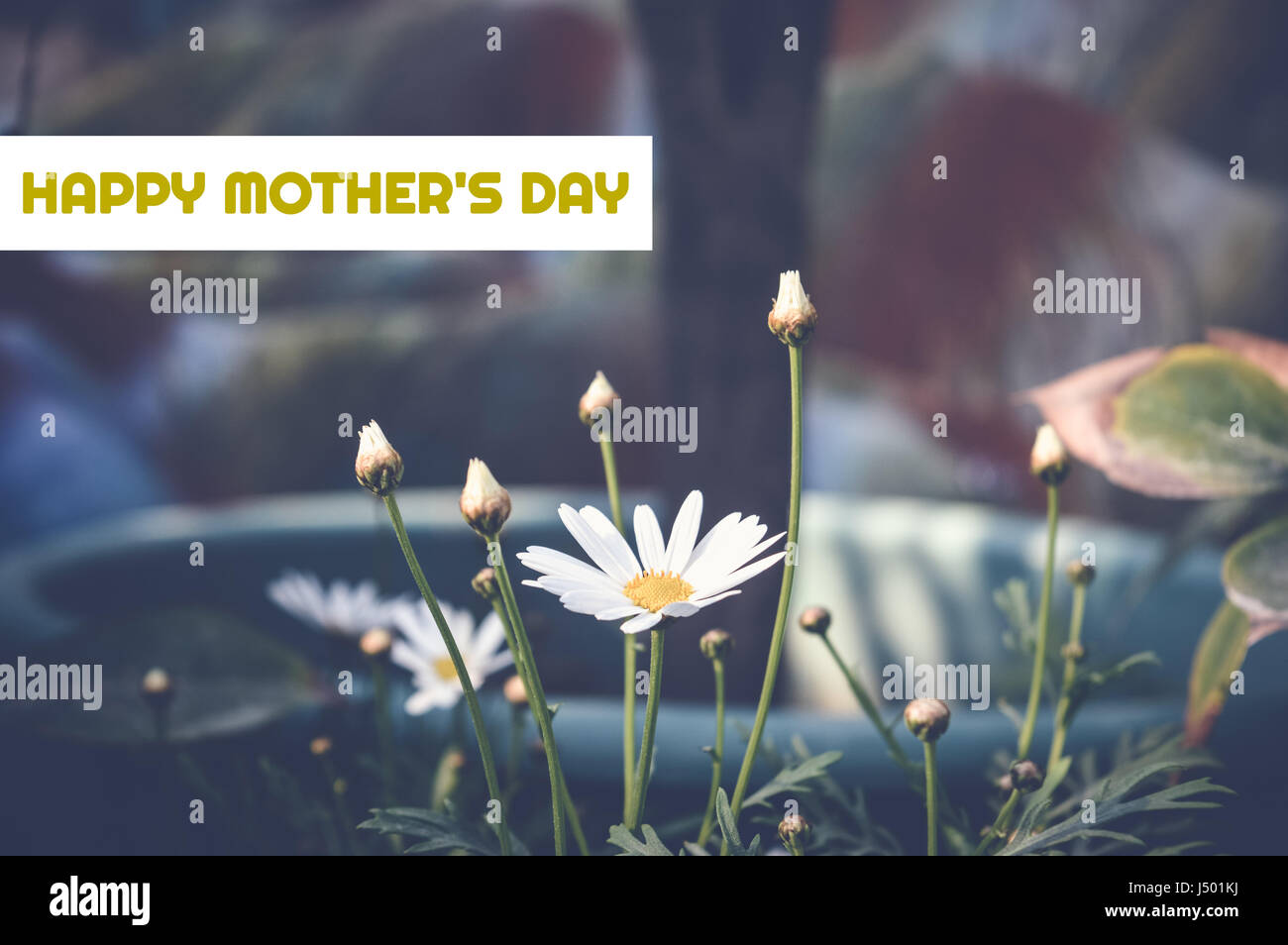 happy mother's day card with flowers background Stock Photo - Alamy