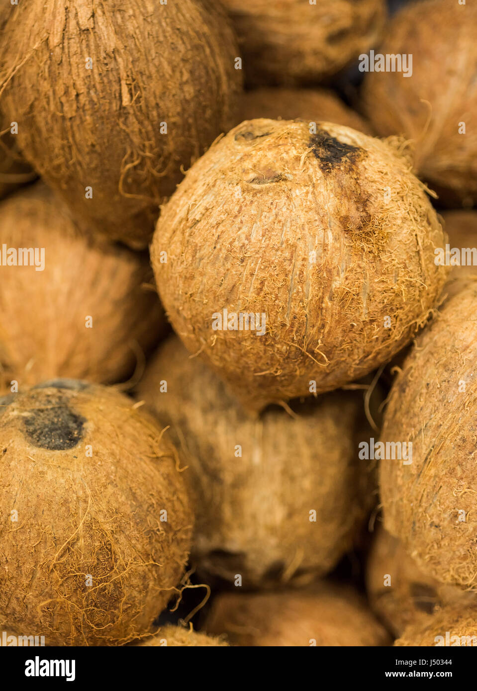 Hard shell fruit hires stock photography and images Alamy
