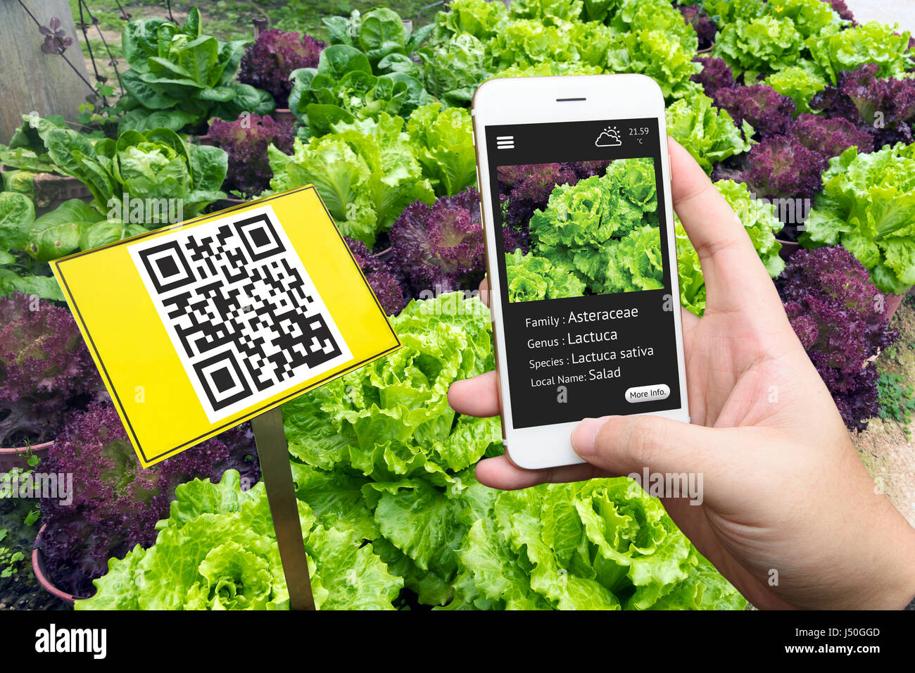 Smart agriculture, farm. Interactive QR Code Plant Tags & Signs and