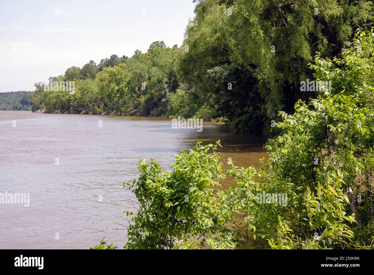 Tombigbee River Stock Photos & Tombigbee River Stock Images Alamy
