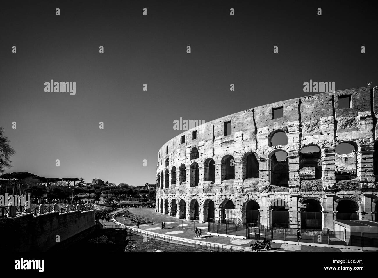 The Coliseum In Black And White Rome, Italy - Europe Stock Photo - Alamy