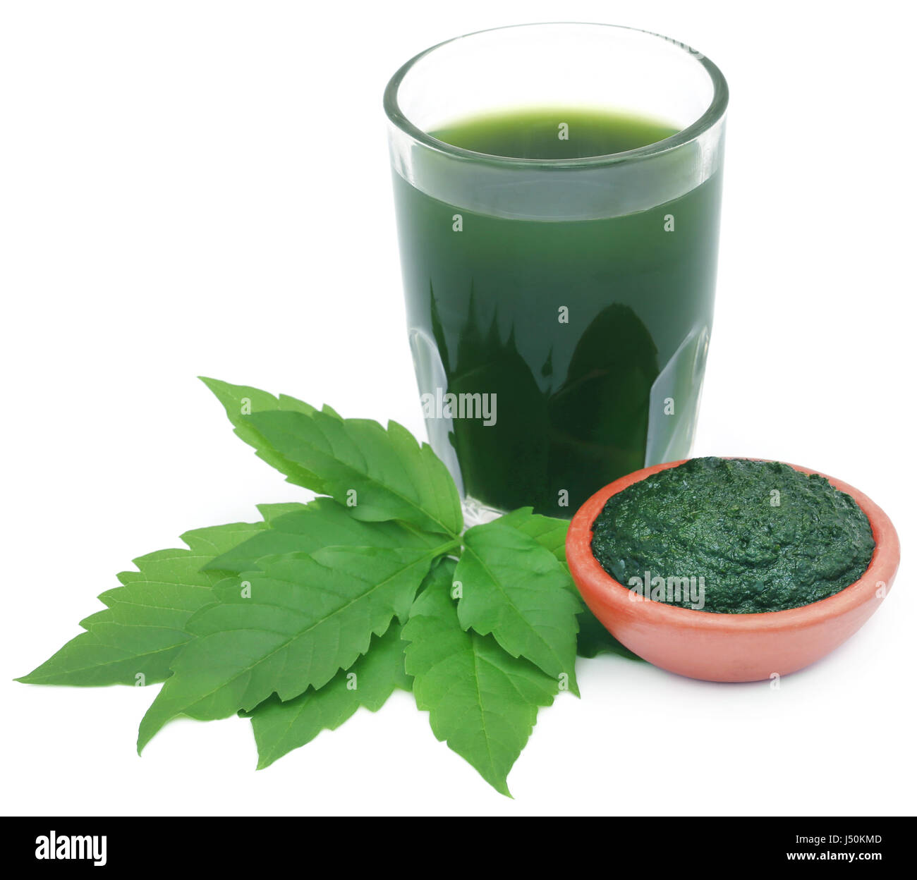 Mashed vitex Negundo or Medicinal Nishinda leaves with extract juice Stock Photo