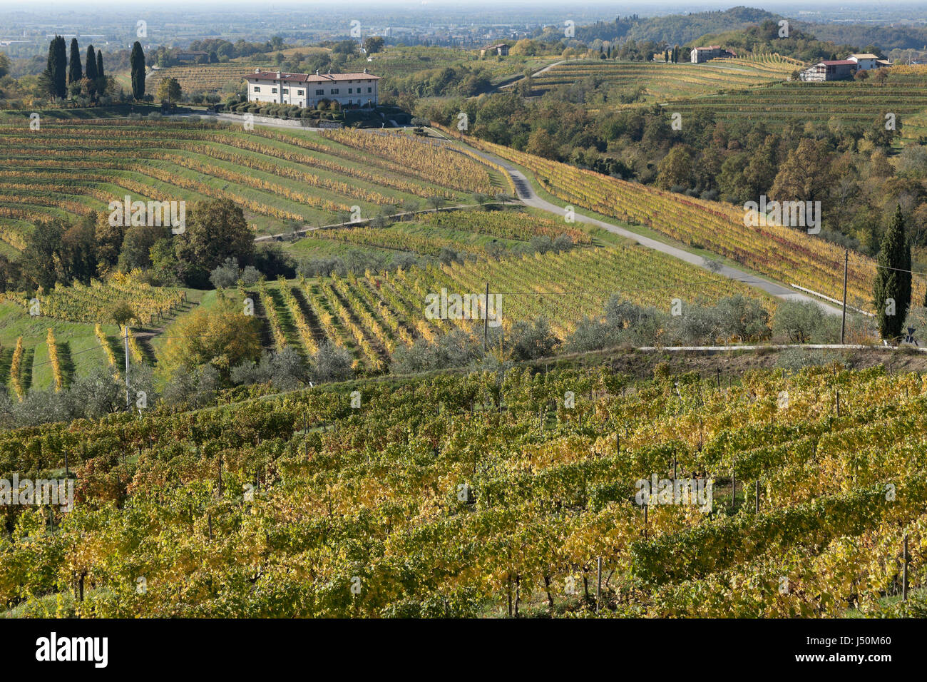 View of vineyards of Collio, Abbey of Corno di Rosazzo, Friuli, Italy Stock Photo