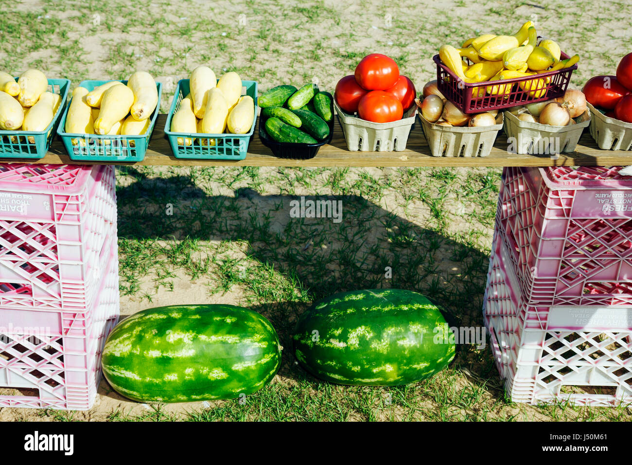 Dothan Alabama,Highway 84,roadside produce stand,locally grown,squash