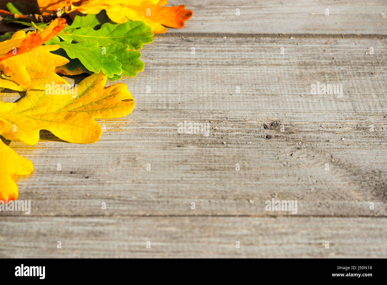 Autumn leaves on a table Stock Photo Alamy