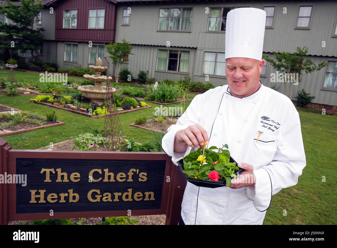 Alabama Point Clear,Grand Hotel Marriott Resort,hotel,Chef's Herb Garden,sign,man men male adult adults,cooking,food,organic,AL080523037 Stock Photo