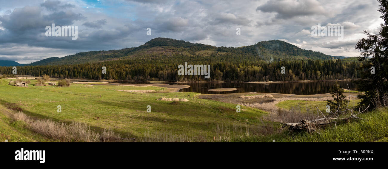 Wetland Pasture Panorama Stock Photo Alamy