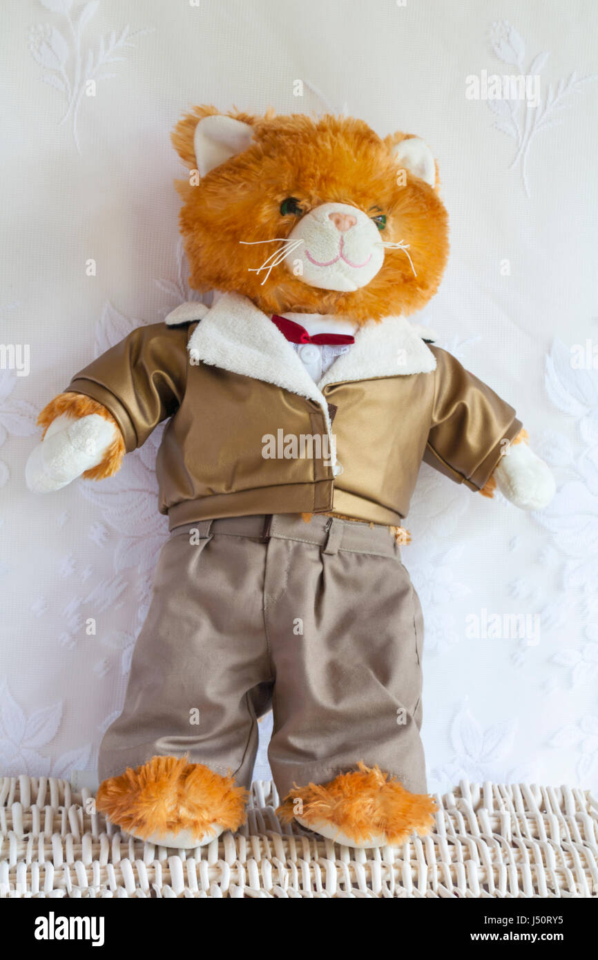 soft cuddly toy wearing trousers and jacket from The Bear Factory standing on wicker basket Stock Photo