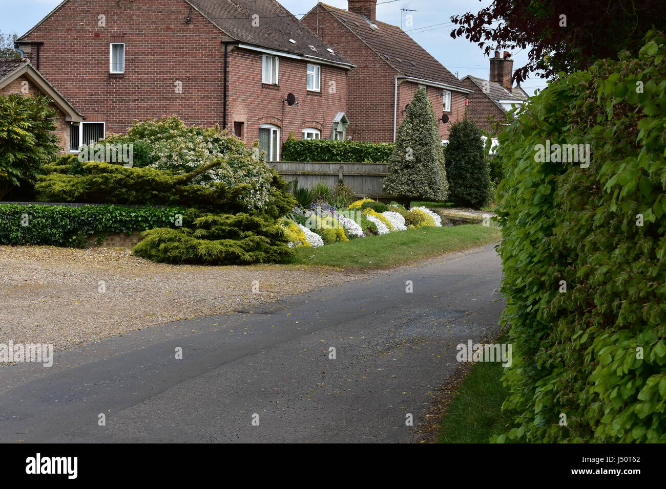 Country road with houses and a colourful garden in Roydon, Norfolk, United Kingdom Stock Photo