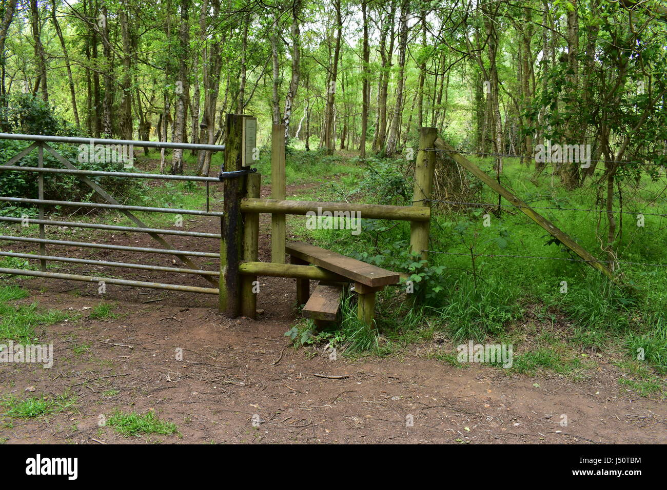 Woodland gate and fence hi-res stock photography and images - Alamy