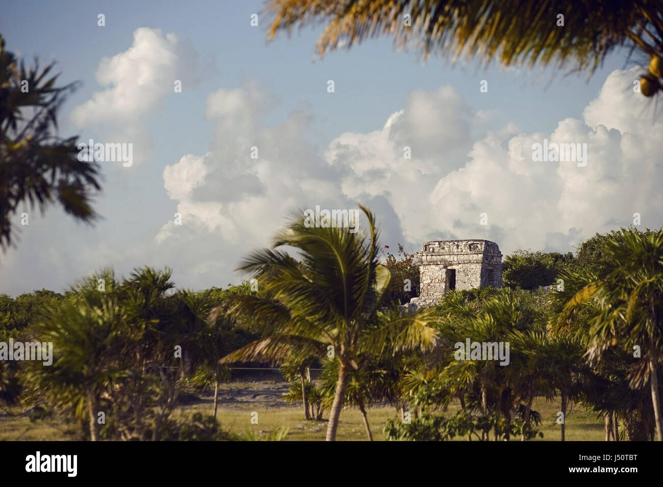 mexican mayan ruins in Tulum Stock Photo
