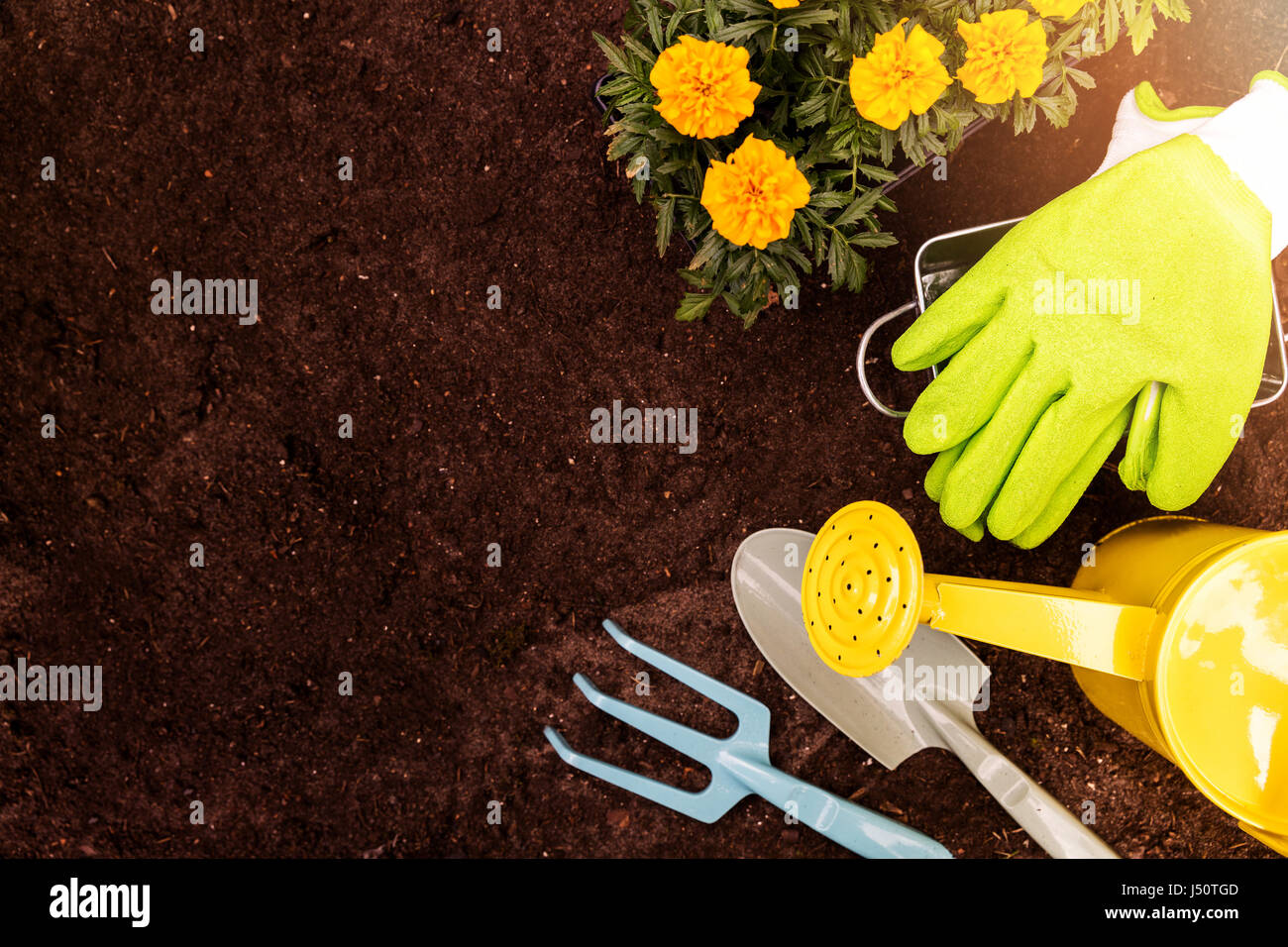 gardening tools and marigold flowers on soil background with copy space Stock Photo