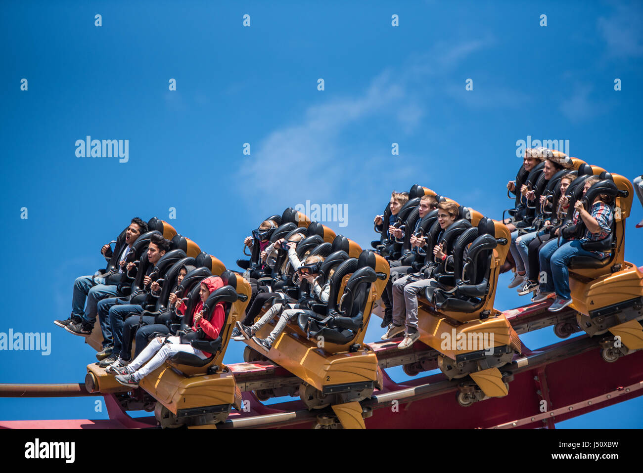 roller coaster friends