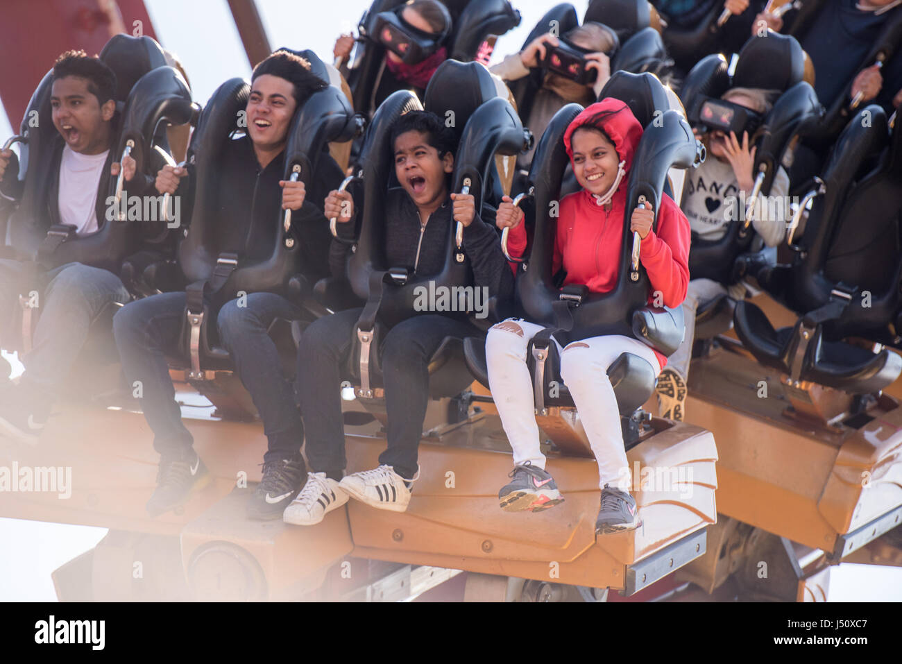 roller coaster friends