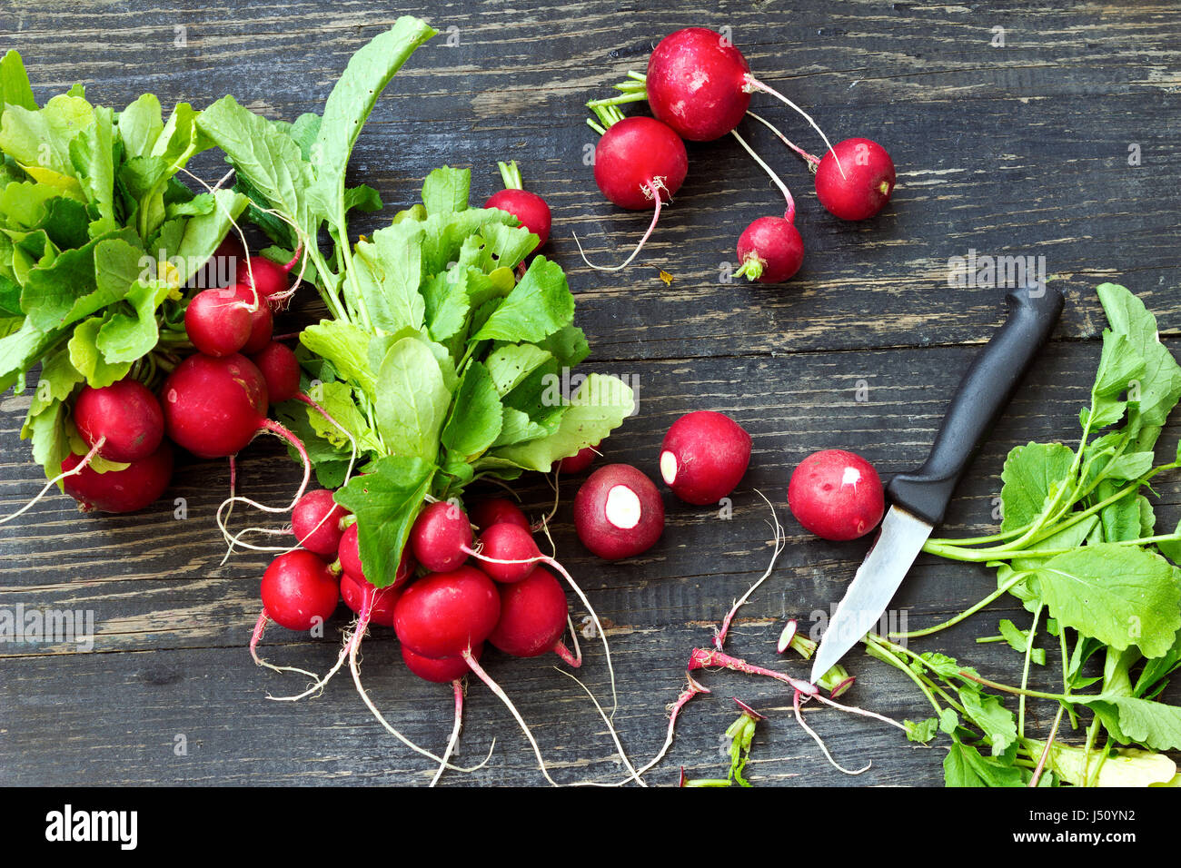 Organic grown red radishes -prepares for food Stock Photo