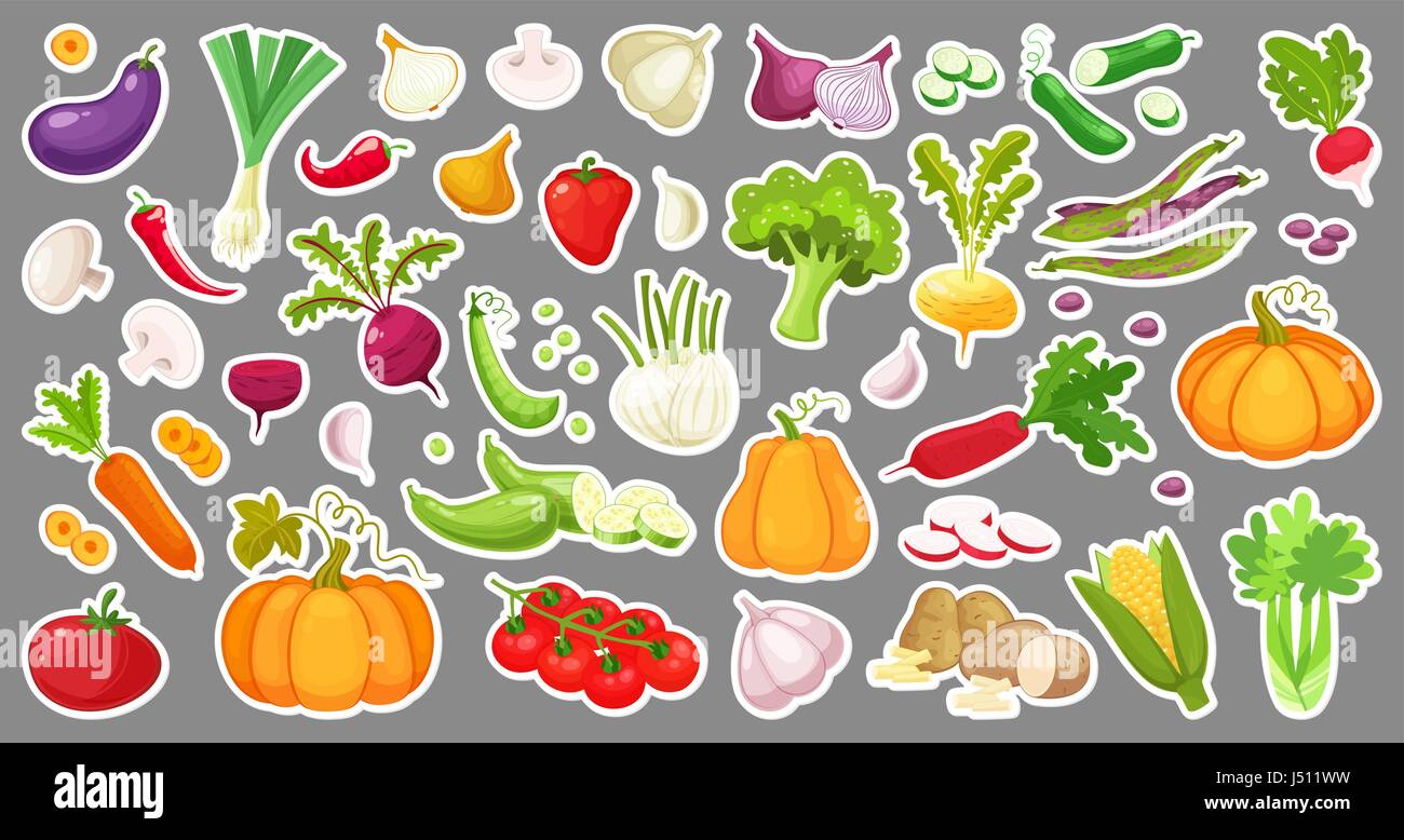 Big set of colorful vegetables. Isolated stickers of vegetables. Natural fresh organic vegetables.Cartoon style vector illustration. Stock Vector