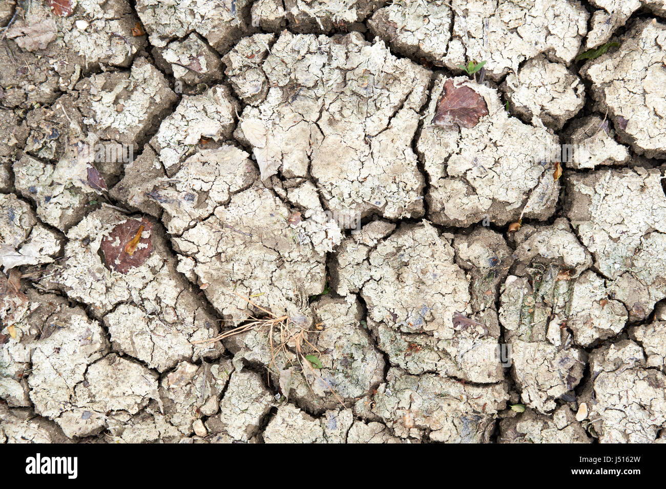 Parched desiccated agricultural soil due to dry climatic conditions, UK. Stock Photo