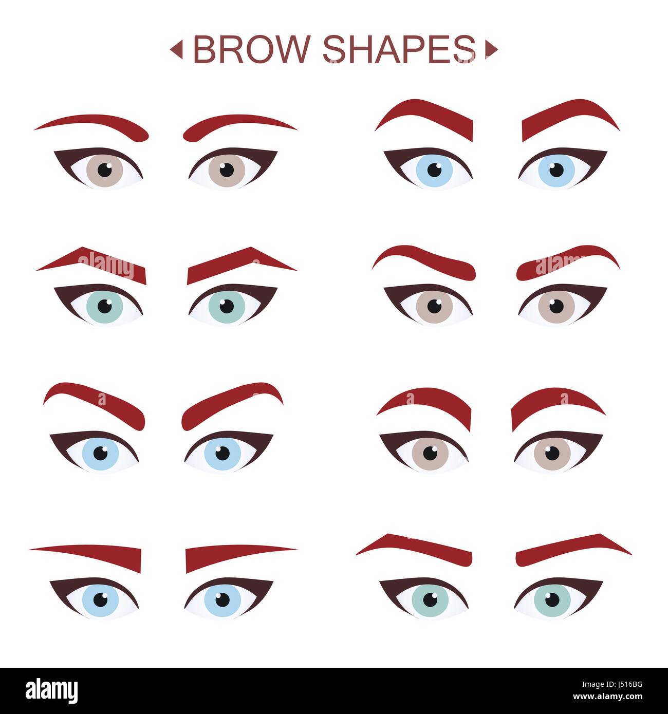 Brow Shapes. Infographic Stock Vector