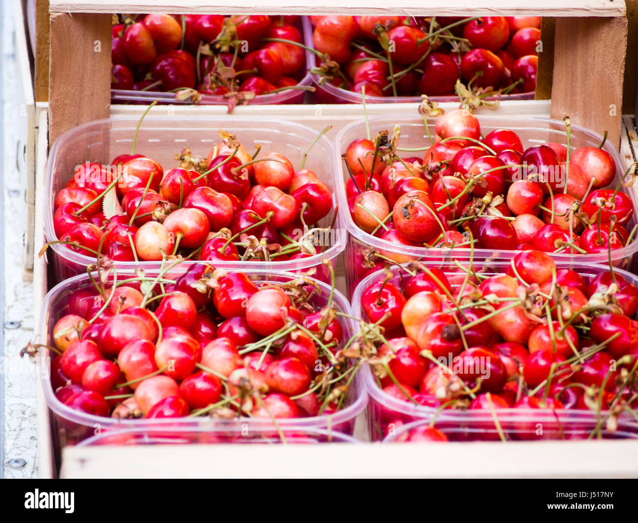 Cherries for sale - Cremona Street Market - 15th May 2017 italy Stock Photo