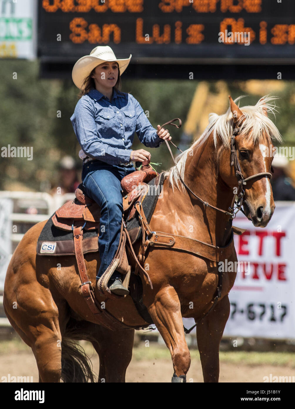 Girl roping calf hires stock photography and images Alamy