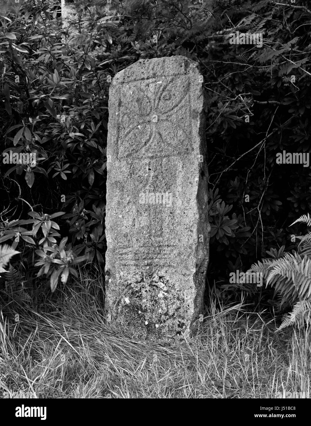 A Pictish symbol stone on Isle of Raasay, off Skye, Scotland, with pagan & Christian symbols including a flabellum (ritual fan) with equal arm cross. Stock Photo