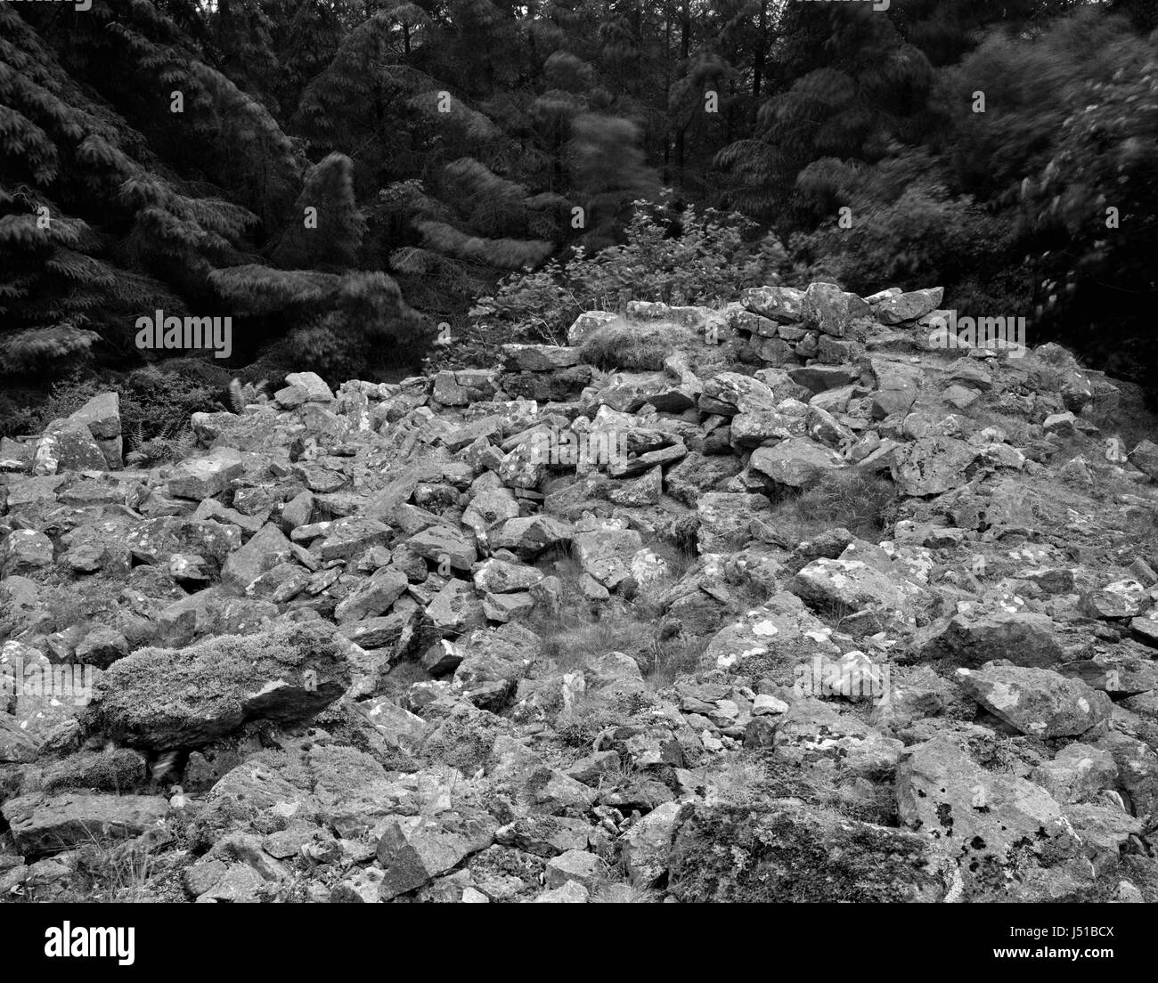 Dun Borodale broch, Raasay, off Skye: view SE across rubble-filled courtyard of Iron Age elliptical tower with southern arc of drystone walling on R. Stock Photo